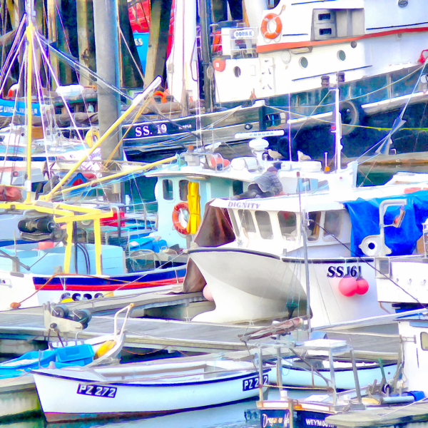 Newlyn Harbour